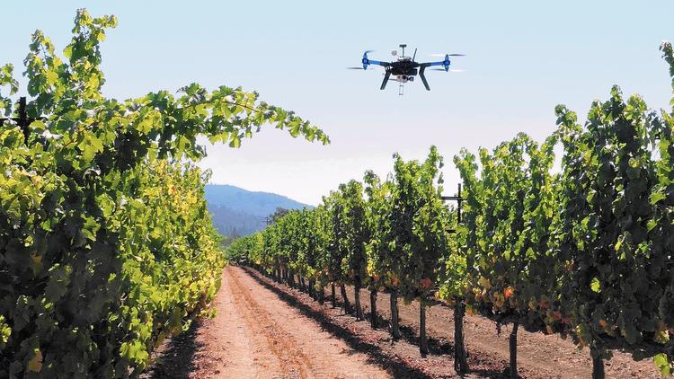utilization of drones in farms to inspect plants
